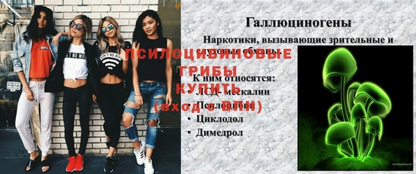 твердый Алексин