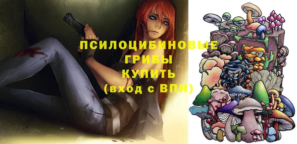 твердый Алексин