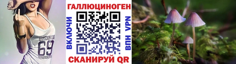 Купить где  Калининец  Галлюциногенные грибы Psilocybe 